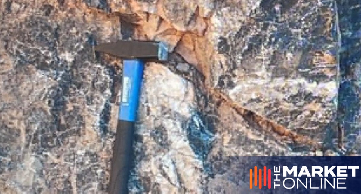 GreenX Metals makes strategic gold, critical minerals portfolio additions in Greenland